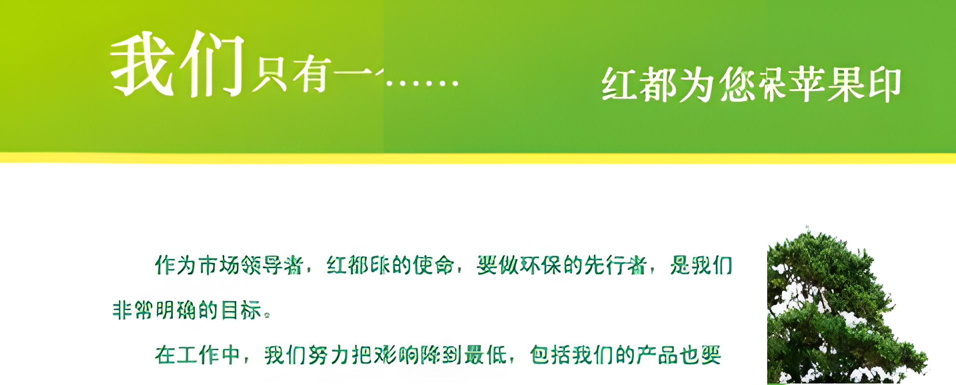 红都光敏印章(款式一)产品图 4